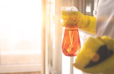 Lastik eldivenler, deterjan spreyi, sünger, yakın çekim, ev işleri konsepti. 