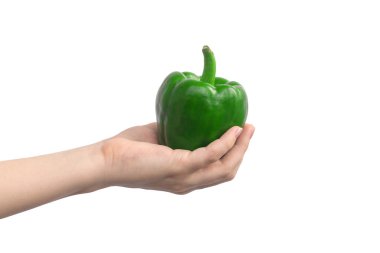 Beyaz bir arka planda yeşil dolmalık biber. Olgun İspanyol biberi, sağlıklı gıda konsepti.