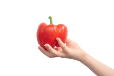 Beyaz arka planda kırmızı biber var. İspanyol biberi tutan kadın. Sağlıklı gıda ve malzemeler konsepti 