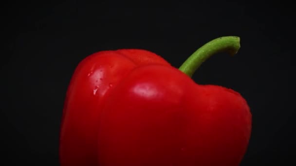 Roter Pfeffer Mit Tröpfchen Auf Schwarzem Hintergrund Rotiert Makro Und — Stockvideo