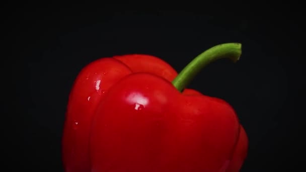 Red Sweet Pepper Paprika Black Background Rotating — Stock Video