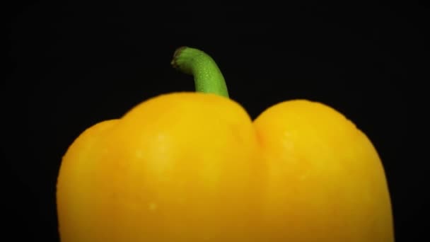 Gelber Paprika Auf Schwarzem Hintergrund Süßer Paprika Rotierende Nahaufnahme — Stockvideo