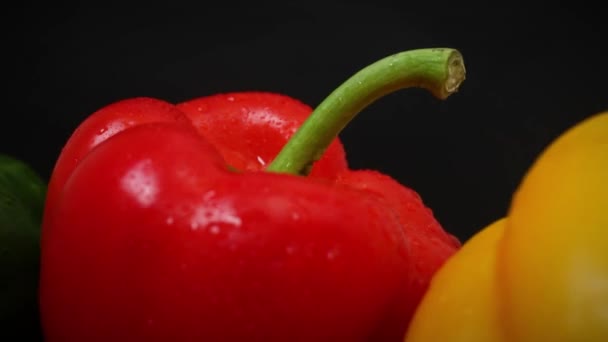 Reifes Und Frisches Paprika Gemüse Auf Schwarzem Hintergrund Roter Gelber — Stockvideo