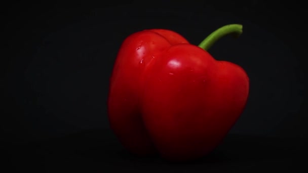 Red Bell Pepper Black Background Movement Rotating Video — Stock Video