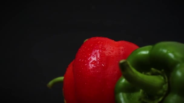 Vegetales Maduros Frescos Pimientos Rojos Amarillos Verdes Sobre Fondo Negro — Vídeo de stock