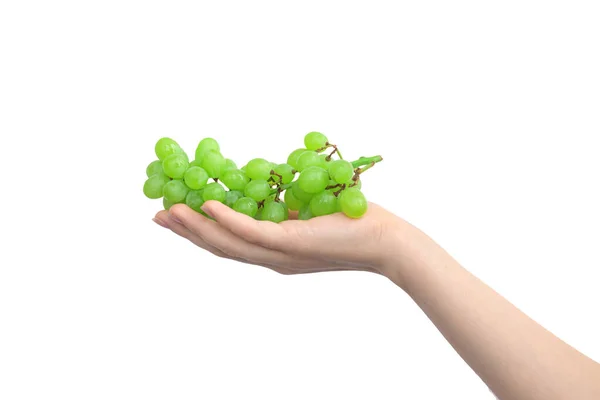 Green Grape Female Hand Isolated White Background — Stock Photo, Image