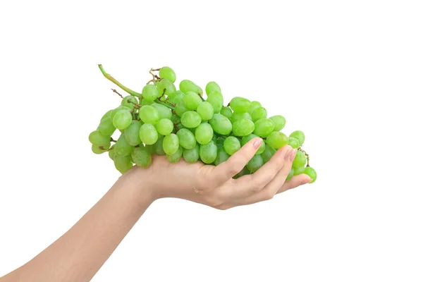 Uva Verde Isolada Sobre Fundo Branco Mulher Mão Segurando Uvas — Fotografia de Stock