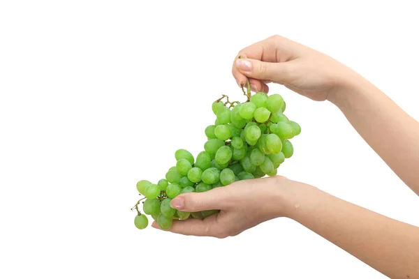 Mãos Com Cacho Uvas Isoladas Sobre Fundo Branco — Fotografia de Stock