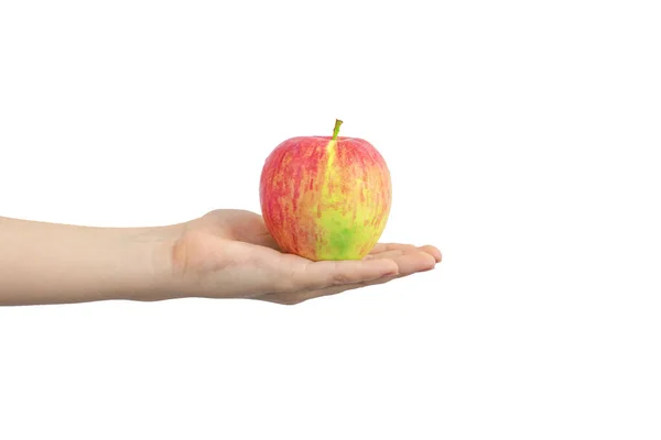Hand Holding Red Apple Isolated White Background Fresh Fruit — Stock Photo, Image
