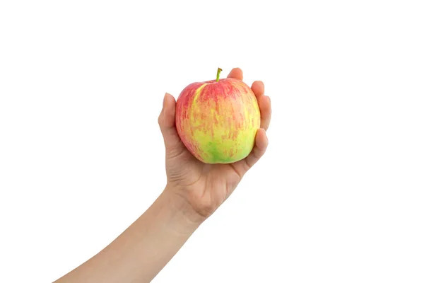 Mano Sosteniendo Manzana Roja Aislada Sobre Fondo Blanco — Foto de Stock