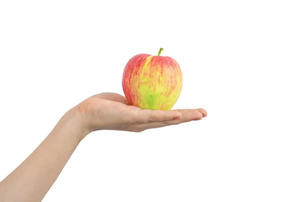 Hand Red Yellow Apple Isolated White Background — Stock Photo, Image