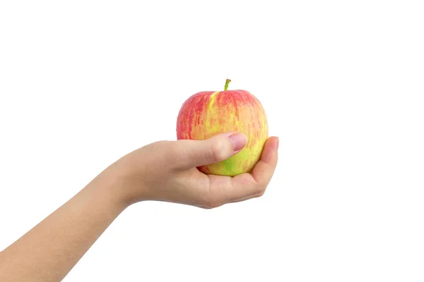 Gul Rød Æble Hånden Isoleret Hvid Baggrund - Stock-foto