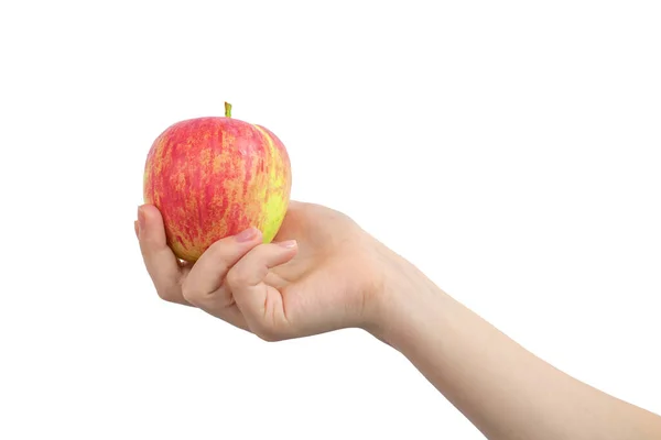 Roter Apfel Der Hand Isoliert Auf Weißem Hintergrund — Stockfoto