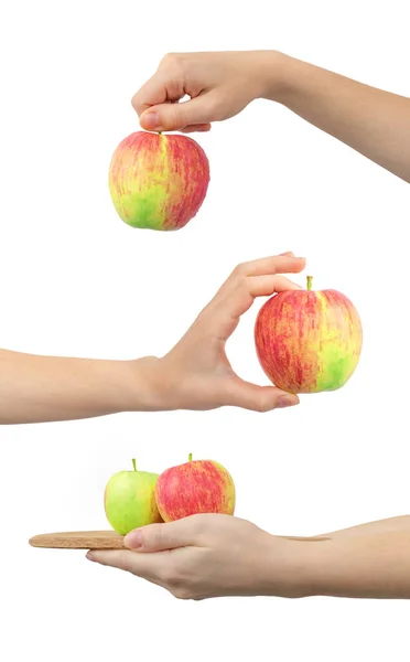 Kolekcja Jabłek Rękach Odizolowanych Białym Tle — Zdjęcie stockowe