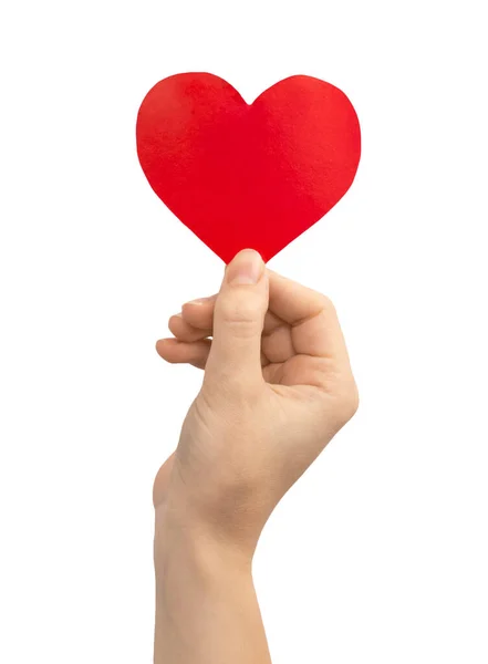 Donation Concept Hand Holding Red Heart Isolated White Background Copy — Stock Photo, Image