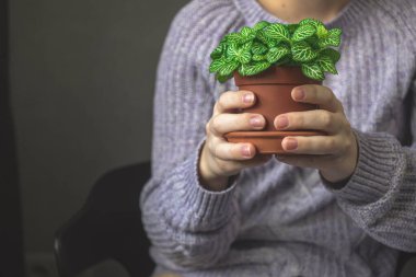 Ev bitkisi elinde olan genç bir kadın.