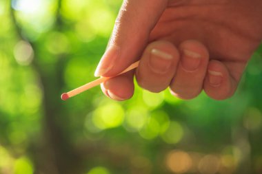 Ormanda çocukların el ele tutuşması. Yangın, orman yangınları ve felaketin konsept fotoğrafı