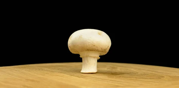 Witte Paddestoel Een Houten Plank Een Zwarte Achtergrond Biologisch Natuurlijk — Stockfoto