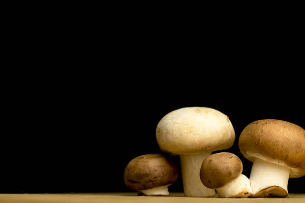 Cogumelos Diferentes Fundo Preto Espaço Cópia Foto Conceito Ingrediente Orgânico — Fotografia de Stock