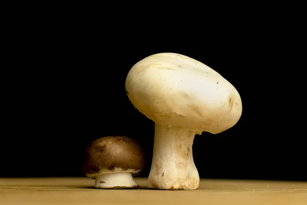Cogumelos Pequenos Grandes Uma Placa Madeira Fundo Preto Foto Conceito — Fotografia de Stock