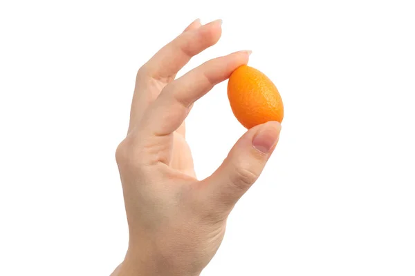 Hand Hold Kumquat Fruit Isolated White Background — Stock Photo, Image