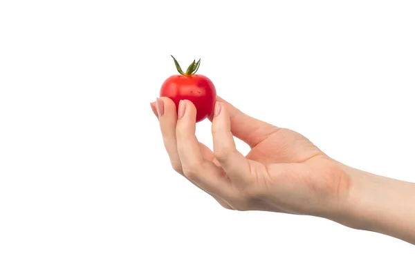 Cherry Tomatoes Woman Hand Isolated White Background — Stock Photo, Image