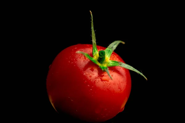 Close Cherry Tomatoes Water Droplets Black Background Cooking Healthy Eating — Stock Photo, Image