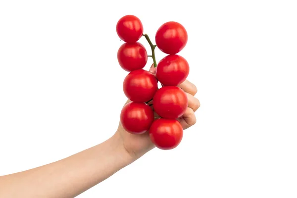 Frau Hand Mit Zweig Roter Kirschtomaten Isoliert Auf Weißem Hintergrund — Stockfoto