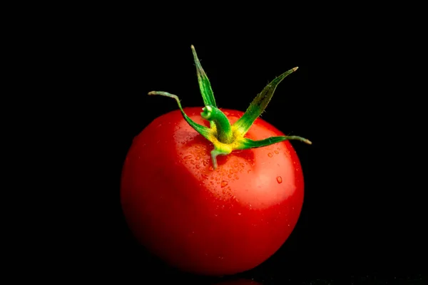 Close View Red Cherry Tomatoes Water Droplets Black Background Cooking — Stock Photo, Image