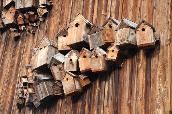 Casas de pássaros — Fotografia de Stock