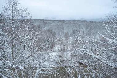 Ağaçlarla, nehirlerle ve kırsal evlerle kaplı kış ormanı manzarası.