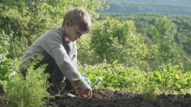 Sebze bahçesinde yeşil tohumu olan bir çocuk çiftçisi. Sulama, organik tarım ve baharda bahçe işleri..