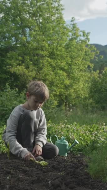 Niño Agricultor Que Trabaja Huerto Con Plántulas Verdes Jóvenes Regando — Vídeo de stock