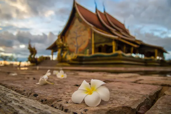 Thaiföld templom — Stock Fotó