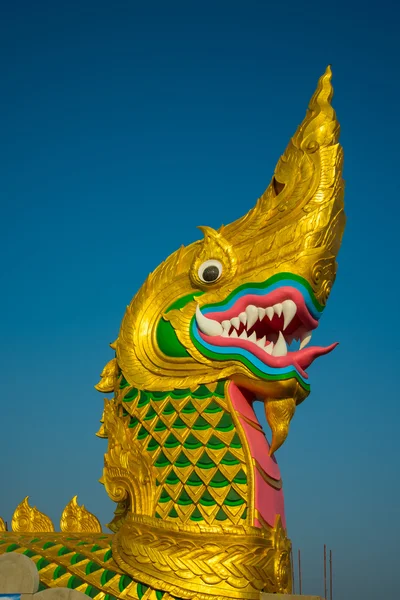 Large golden naga — Stock Photo, Image
