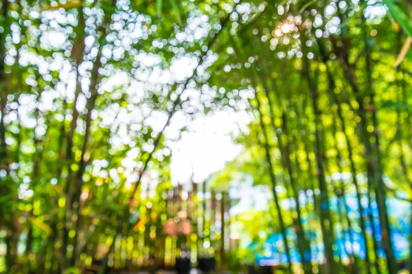 Atış dışarı odak bambu arka plan için zoom. Bokeh