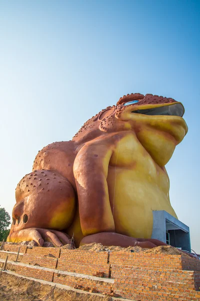 De grote padden op de rivier. standbeeld — Stockfoto