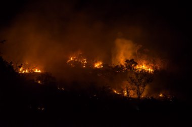 İtfaiyeciler orman yangınları söndürmek yardımcı oluyor.