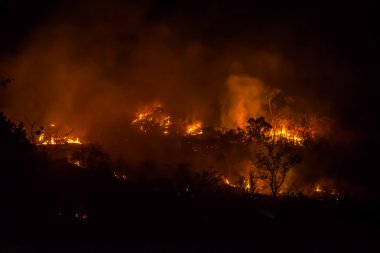 İtfaiyeciler orman yangınları söndürmek yardımcı oluyor.