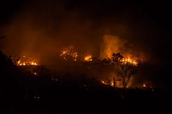 İtfaiyeciler orman yangınları söndürmek yardımcı oluyor.