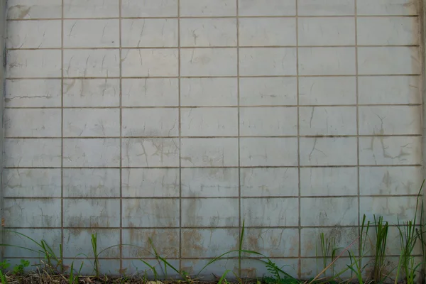 Patrón de pared Adecuado . — Foto de Stock