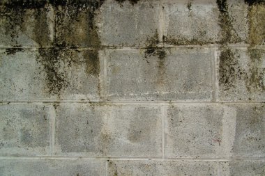 duvar desen arka plan