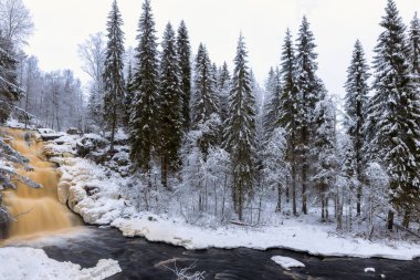 Yukankoski Şelalesi (Beyaz Köprüler), Kulismayoki Nehri, Rusya, Karelia