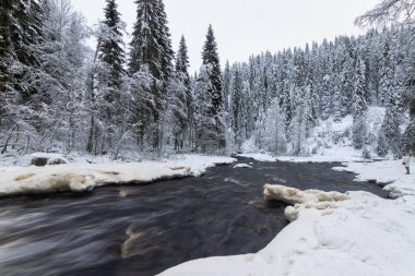 Dağ nehri ile orman kışı manzarası. Yukankoski Şelalesi (Beyaz Köprüler), Kulismayoki Nehri, Rusya, Karelia