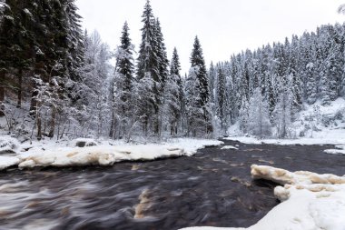 Dağ nehri ile orman kışı manzarası. Yukankoski Şelalesi (Beyaz Köprüler), Kulismayoki Nehri, Rusya, Karelia