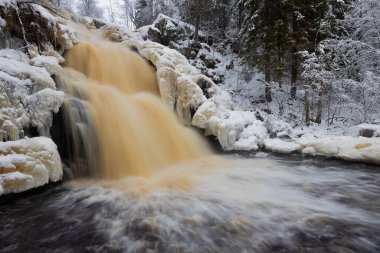 Dağ nehri ile orman kışı manzarası. Yukankoski Şelalesi (Beyaz Köprüler), Kulismayoki Nehri, Rusya, Karelia