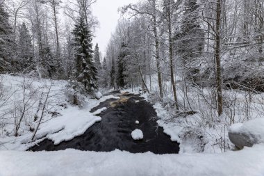 Dağ nehri ile orman kışı manzarası. Yukankoski Şelalesi (Beyaz Köprüler), Kulismayoki Nehri, Rusya, Karelia