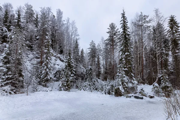 Ruskeala Dağ Parkı Ndaki Orman Mermer Kayalar Karelia Cumhuriyeti Rusya — Stok fotoğraf