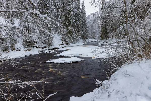 山の川と森の冬の風景 雪化粧滝 白い橋 クリスマヨキ川 ロシア カレリア — ストック写真
