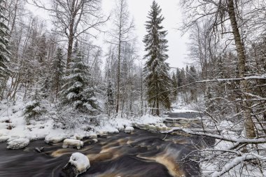 Orman nehri ile kış manzarası. Prokinkoski Şelalesi. Eski Finlandiya barajının kalıntıları, 1922. .Khikhniyoki nehri, Karelia Cumhuriyeti, Rusya